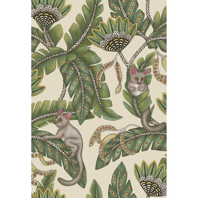 Cole & Son BUSH BABY SGE&CHRT/PRCHMNT Wallpaper
