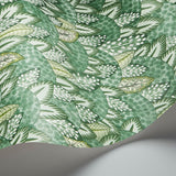 Cole & Son ZULU TERRAIN FRSTGRN&OLVGRN Wallpaper
