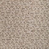 Kravet REMO FOSSIL Fabric