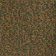Kravet REMO TIGER LILY Upholstery Fabric