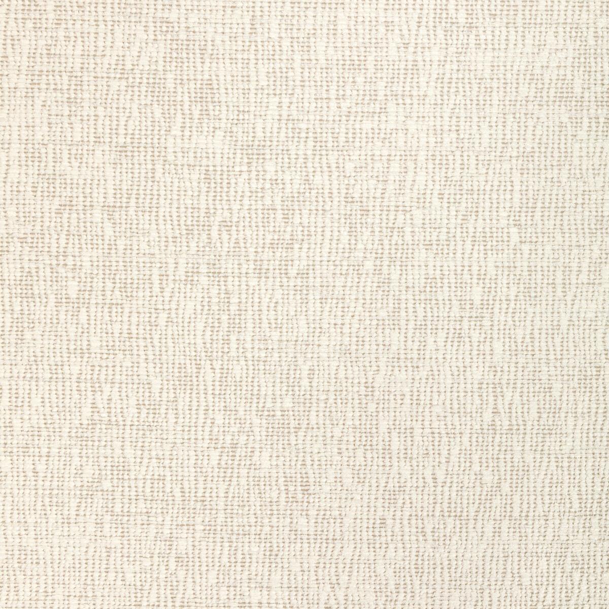 Kravet WASH AWAY DOVE Fabric