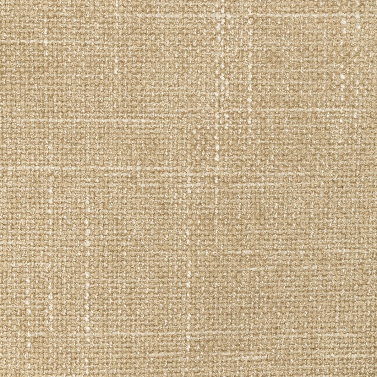 Kravet 36579 1116 Fabric