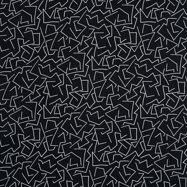 Schumacher Tangent Print Carbon Fabric
