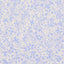 Schumacher X Backdrop Superbloom Cornflower Wallpaper