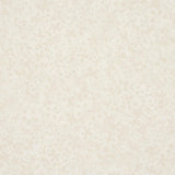 Schumacher X Backdrop Superbloom Cloud Wallpaper