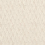 Schumacher Ezra Wool Birch Fabric