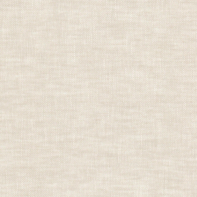 Stout SIZZLE BONE Fabric