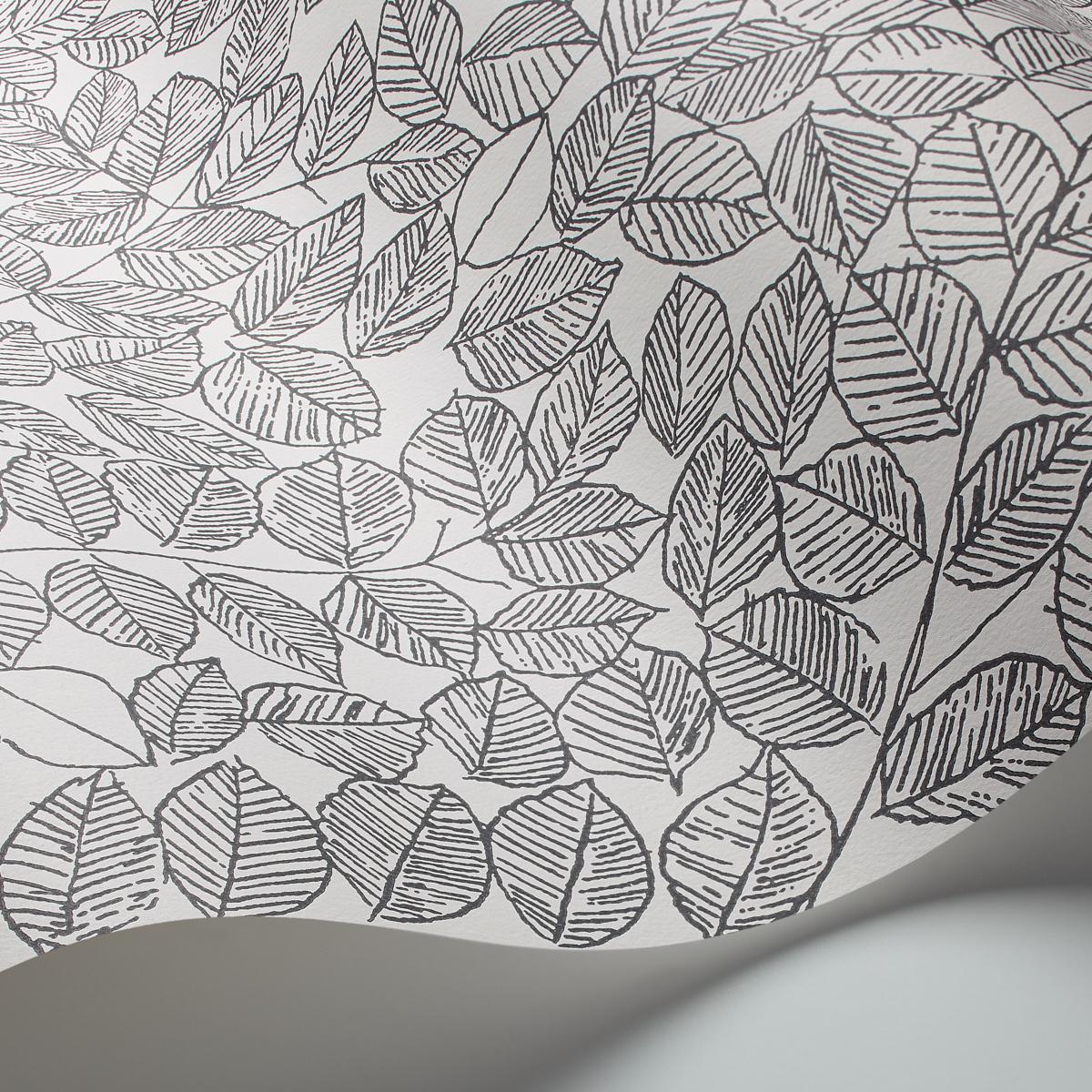 Borastapeter Romans Black Wallpaper