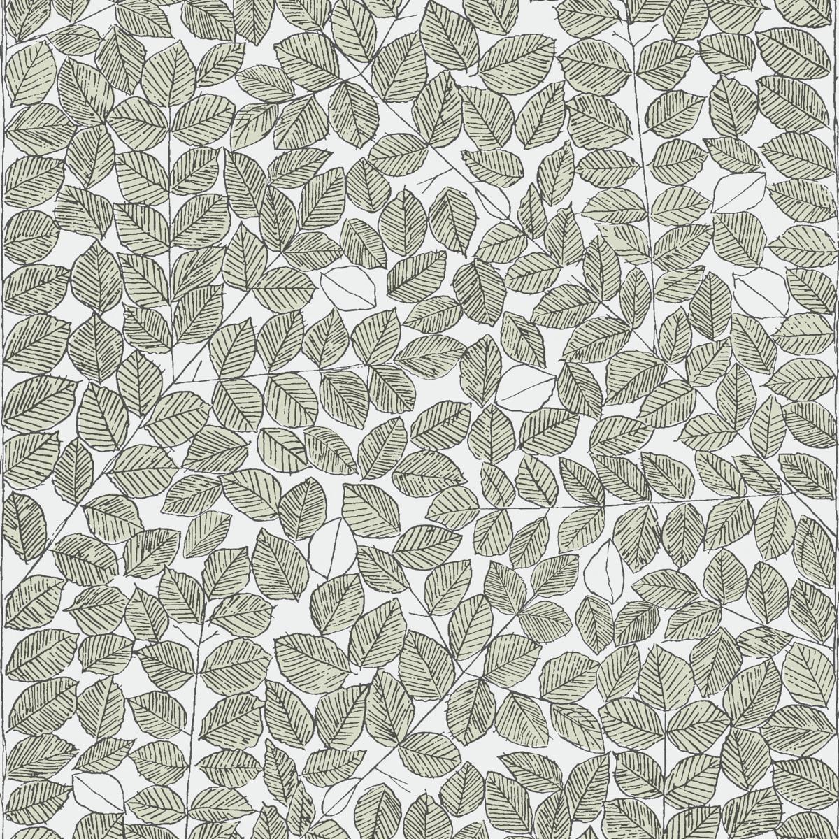 Borastapeter Romans Leaf Wallpaper