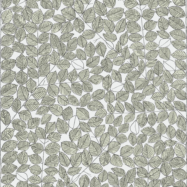 Borastapeter Romans Leaf Wallpaper