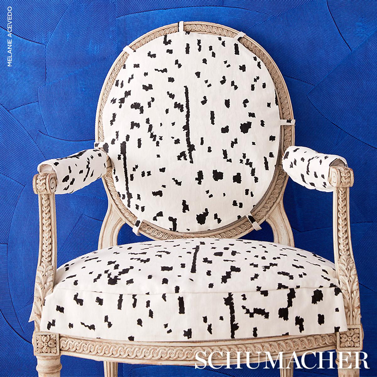 Schumacher Bespotted Black Fabric