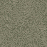 Borastapeter Bladverk Spruce Wallpaper