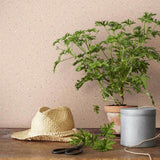 Borastapeter Johan Petal Wallpaper