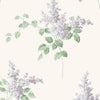Borastapeter Lilacs Lilac Wallpaper