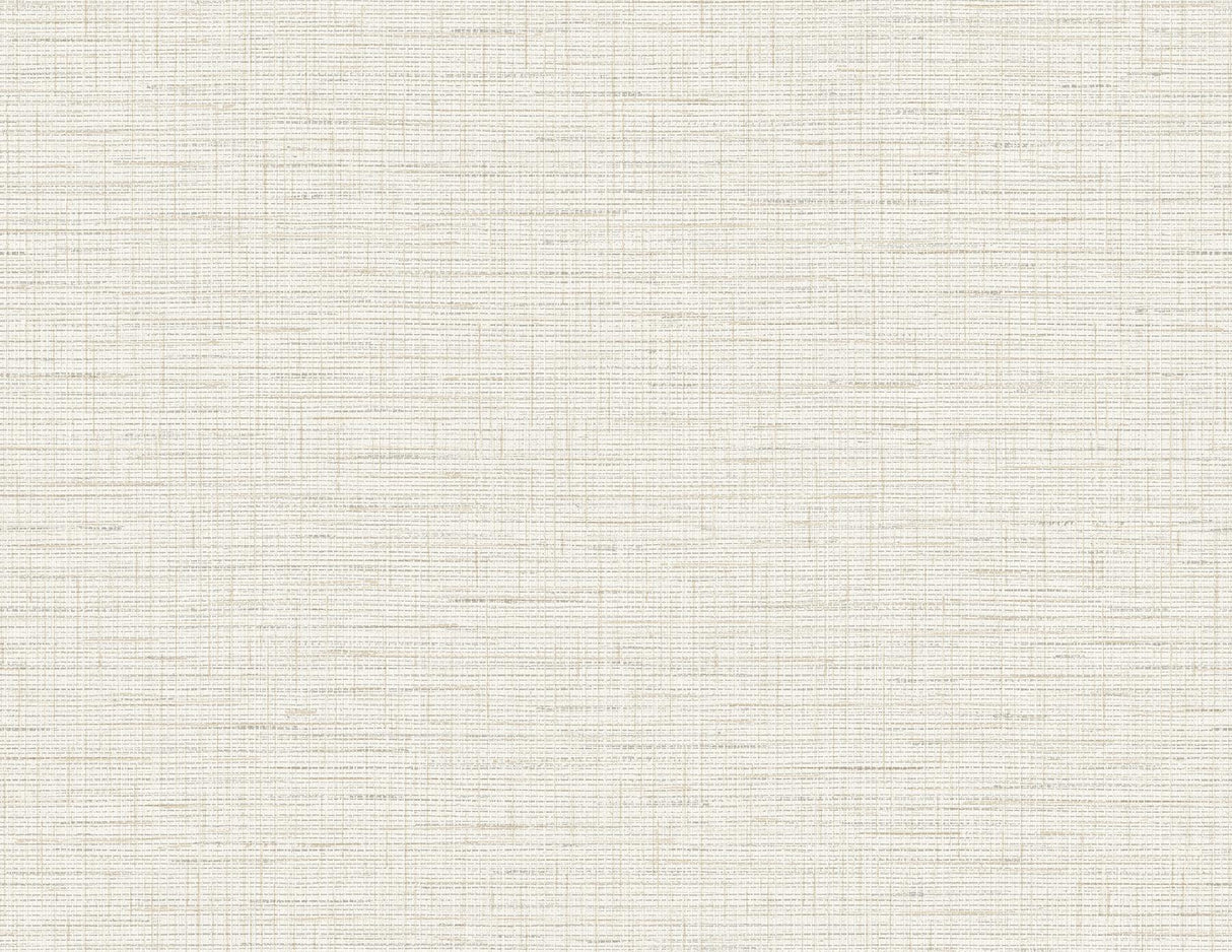 A-Street Prints Salamander Eggshell Woven Wallpaper