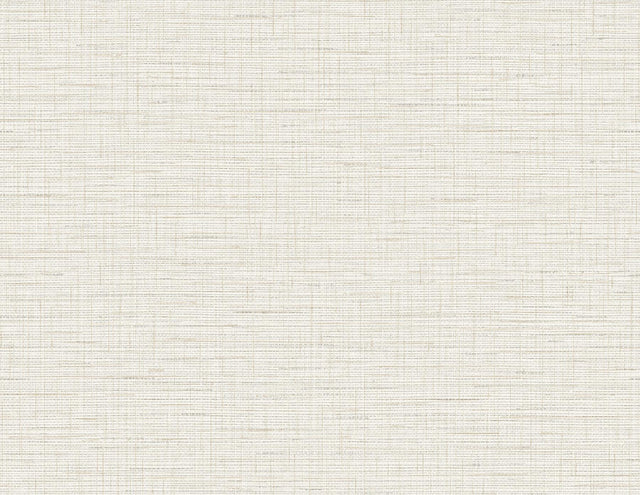 A-Street Prints Salamander Eggshell Woven Wallpaper