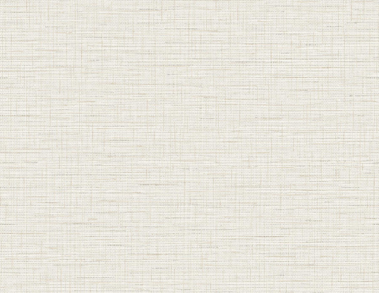 A-Street Prints Salamander Woven Eggshell Wallpaper