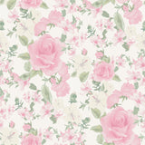 A-Street Prints Sunset Harbor Rose Roses & White Flowers Vida Rosa Wallpaper