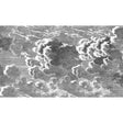 Cole & Son NUVOLETTE BLACK/WHITE Wallpaper