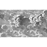 Cole & Son NUVOLETTE BLACK/WHITE Wallpaper