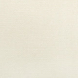 Kravet CARSON LACE Fabric