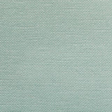 Kravet CARSON SPA Fabric