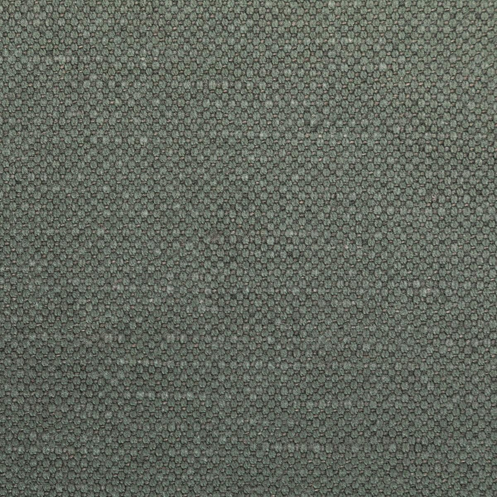 Kravet CARSON PEWTER Fabric