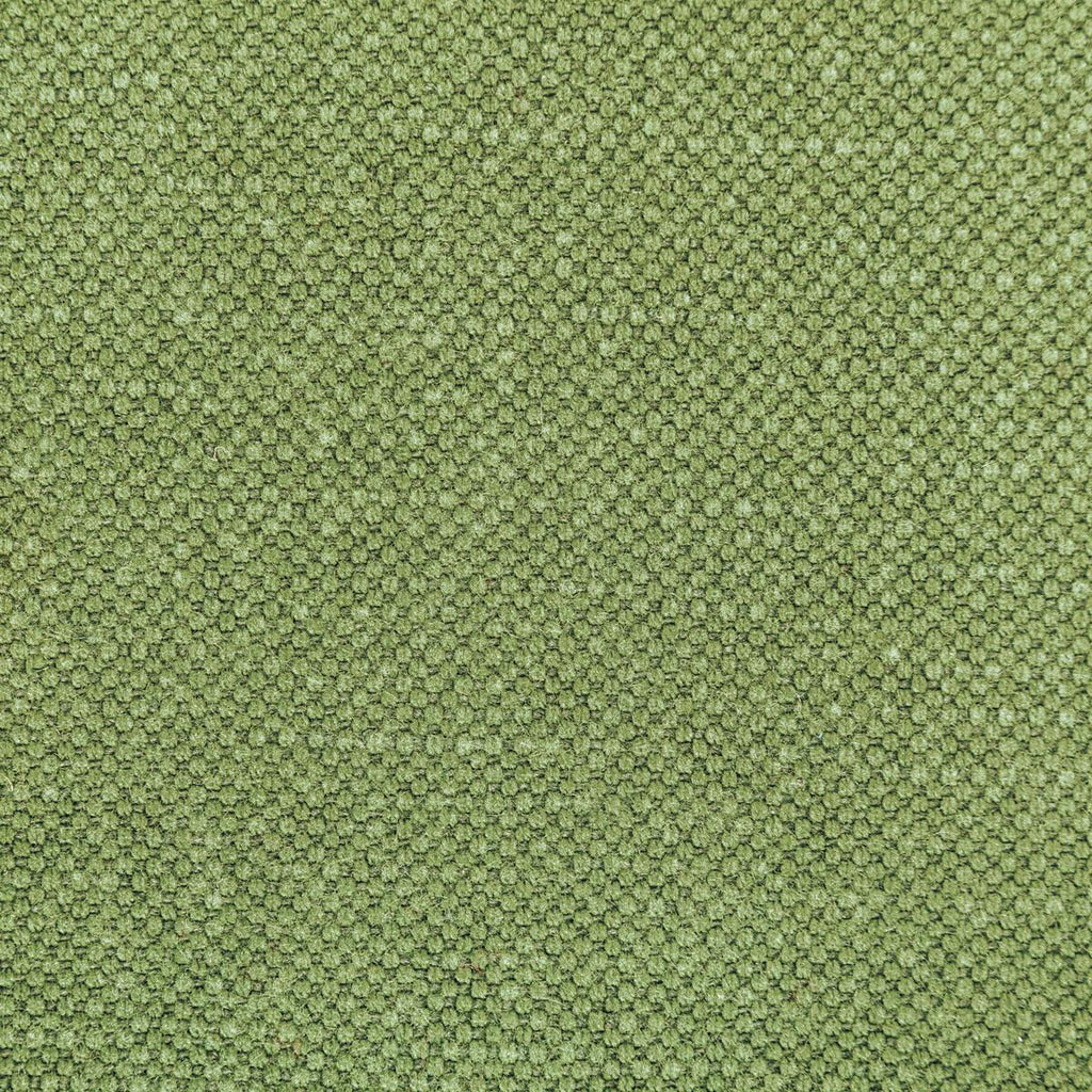 Kravet CARSON FROG Fabric