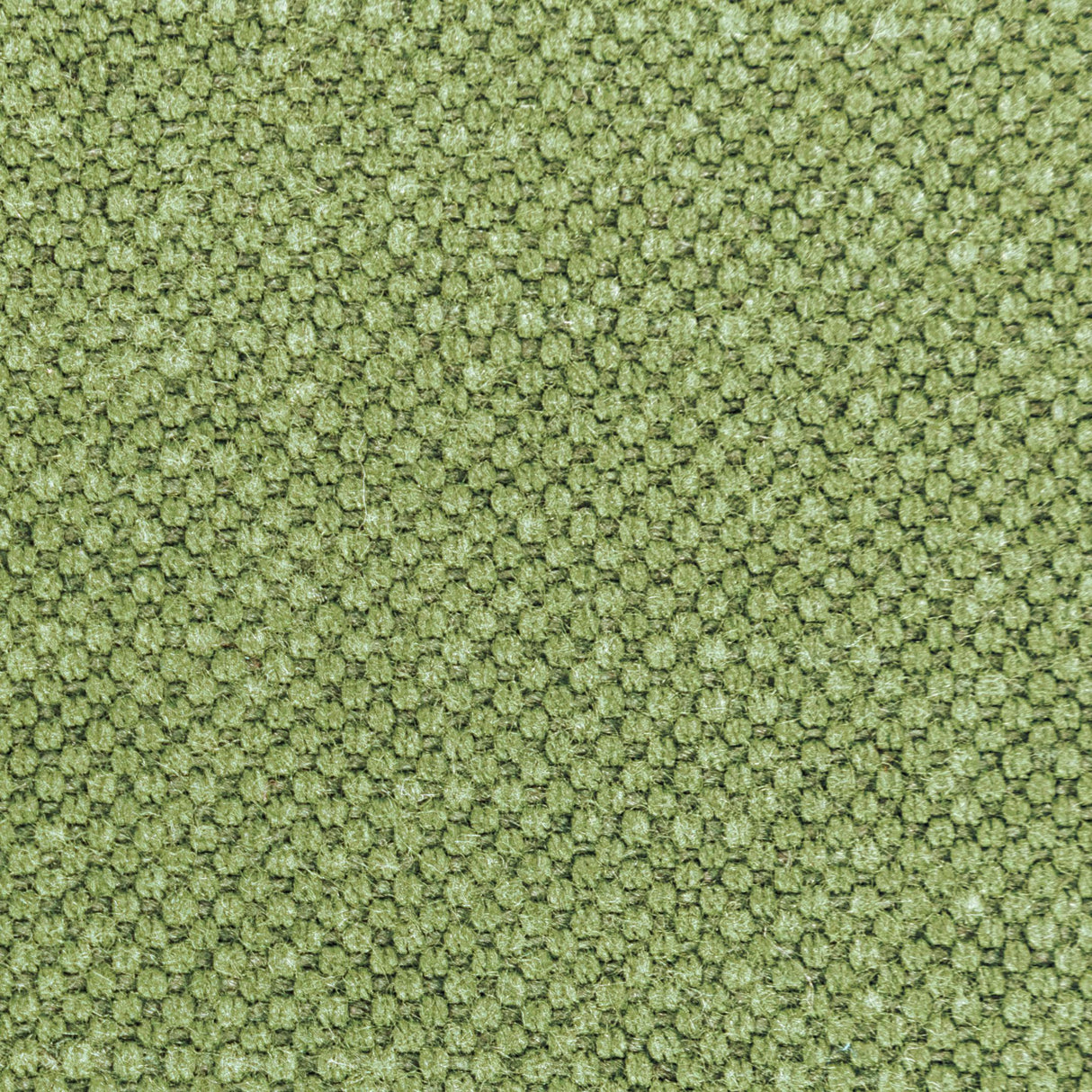 Kravet CARSON FROG Upholstery Fabric