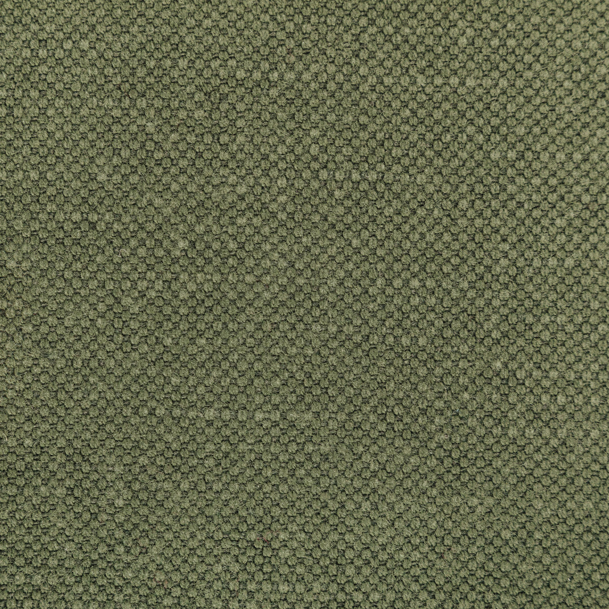 Kravet CARSON PINE Upholstery Fabric