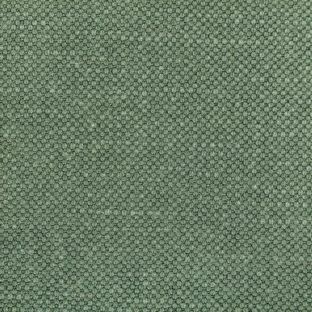 Kravet CARSON RELISH Fabric