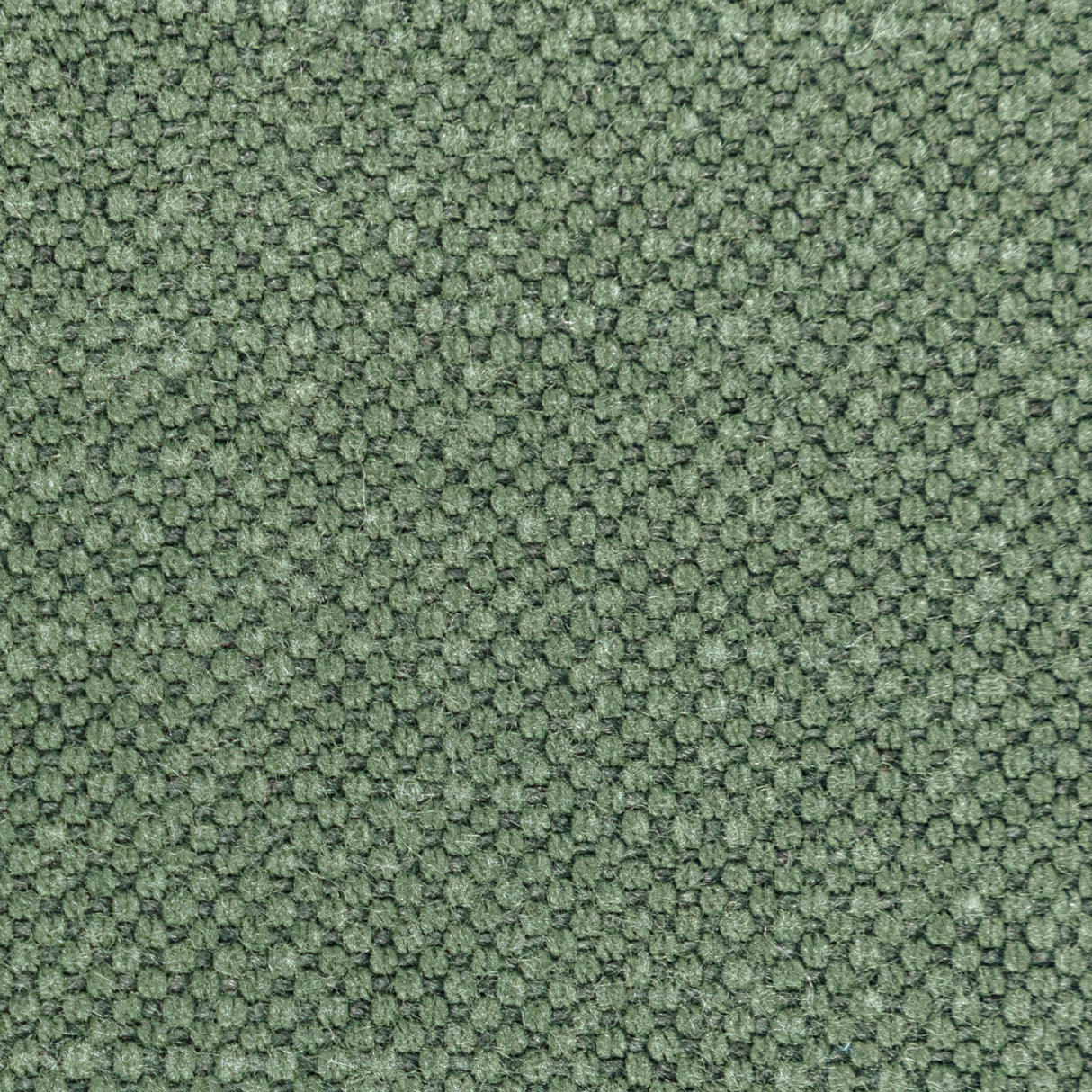 Kravet CARSON RELISH Upholstery Fabric