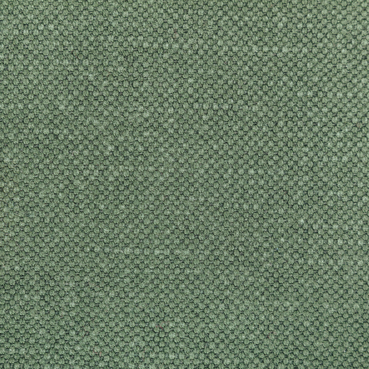 Kravet CARSON RELISH Upholstery Fabric