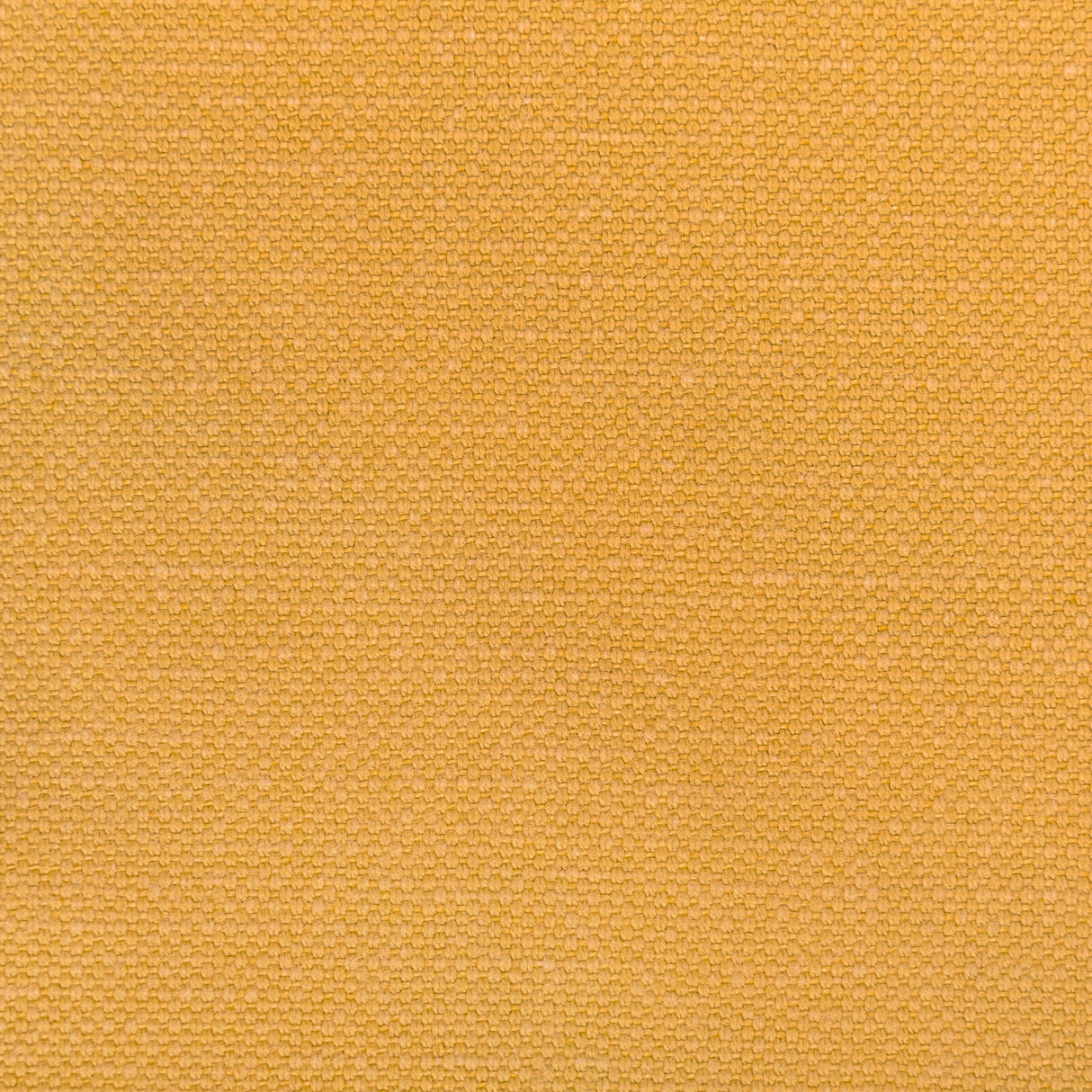 Kravet CARSON HONEY Upholstery Fabric