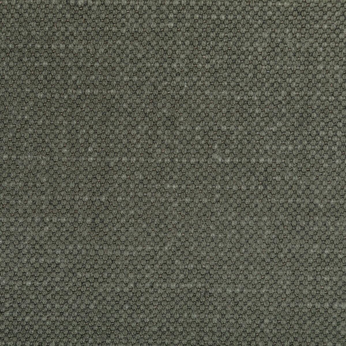Kravet CARSON DOLPHIN Fabric