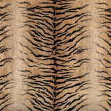 Kravet PROVOCATIVE CAMEL Fabric