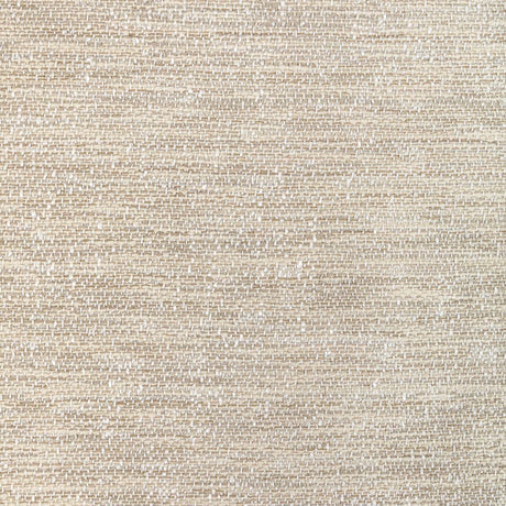Kravet DEXTER MELANGE NATURAL Fabric