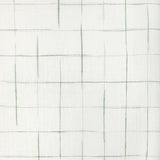 Kravet ENNIS CHECK GRASS Fabric