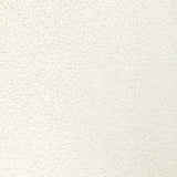 Kravet 36421 1001 Fabric
