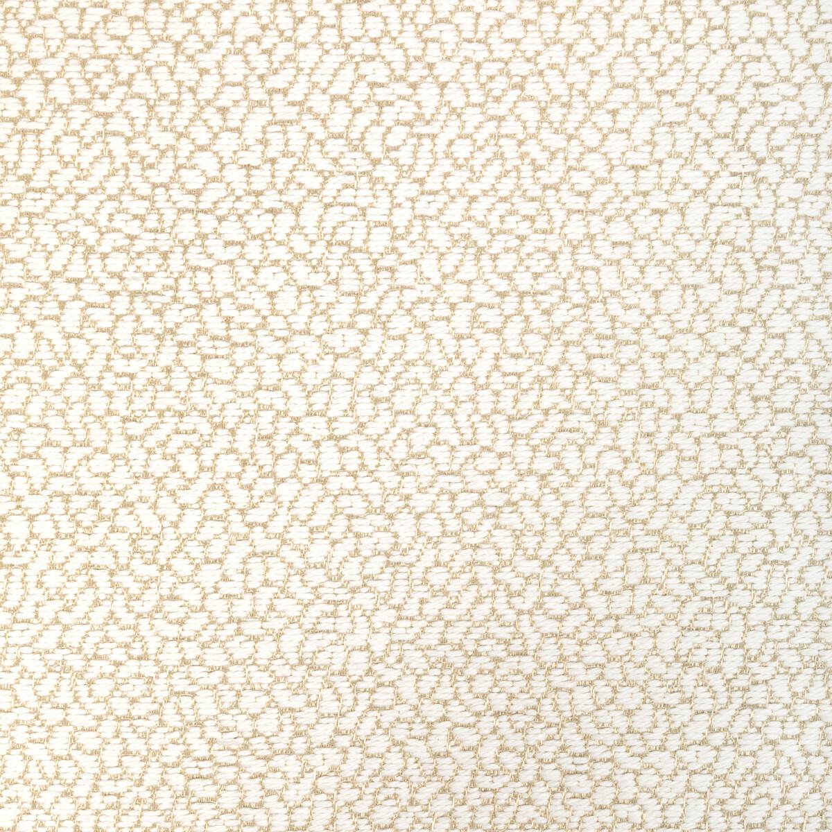 Kravet 36421 161 Fabric