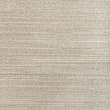 Kravet UPLIFT LINEN Fabric