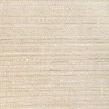 Kravet RECLAIM SANDBAR Fabric