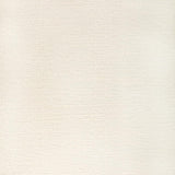 Kravet RECOUP SEA SALT Fabric