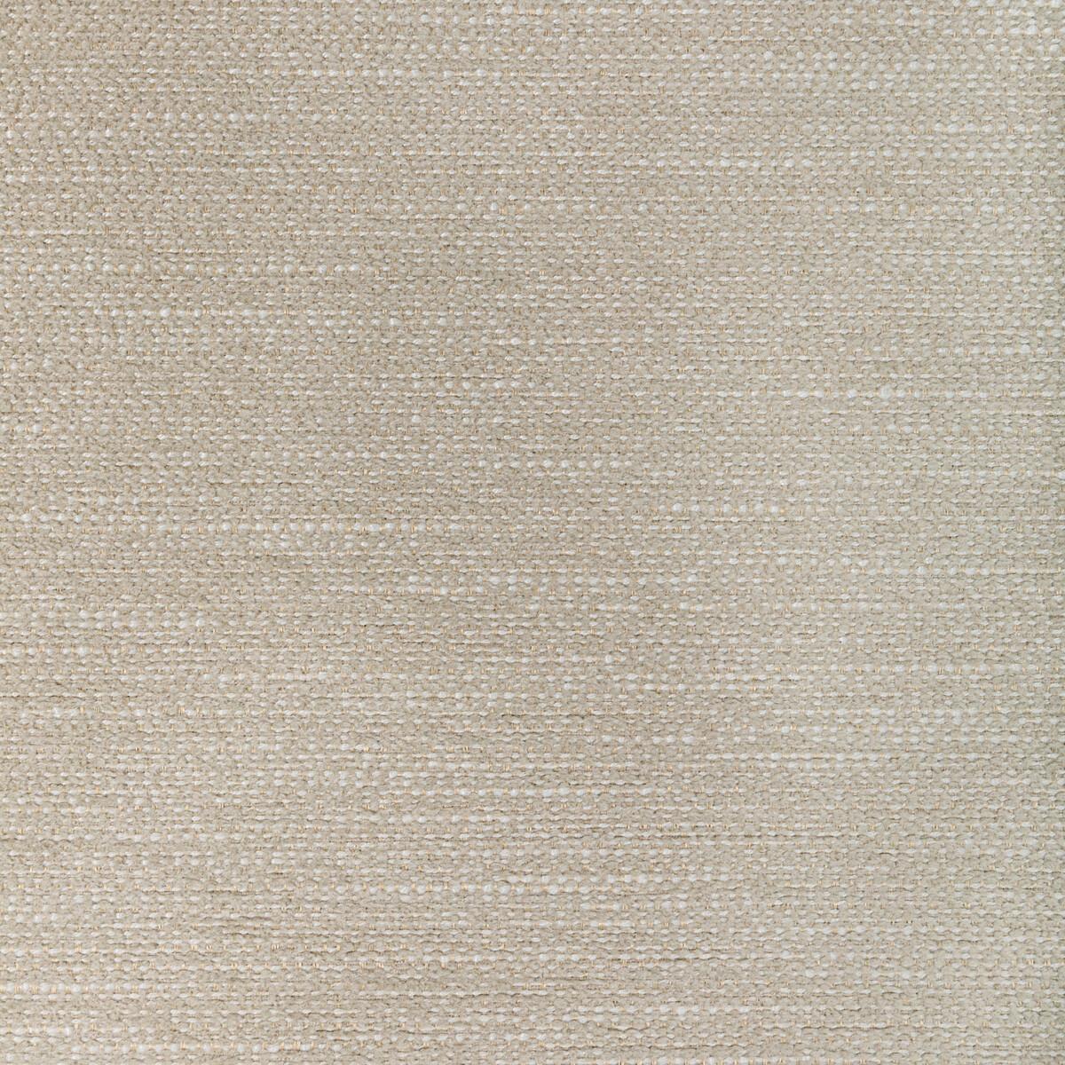 Kravet RECOUP SAND DOLLAR Fabric