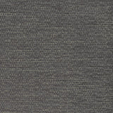 Kravet RECOUP DOLPHIN Fabric