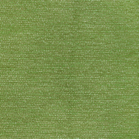 Kravet RECOUP SEA GRASS Fabric