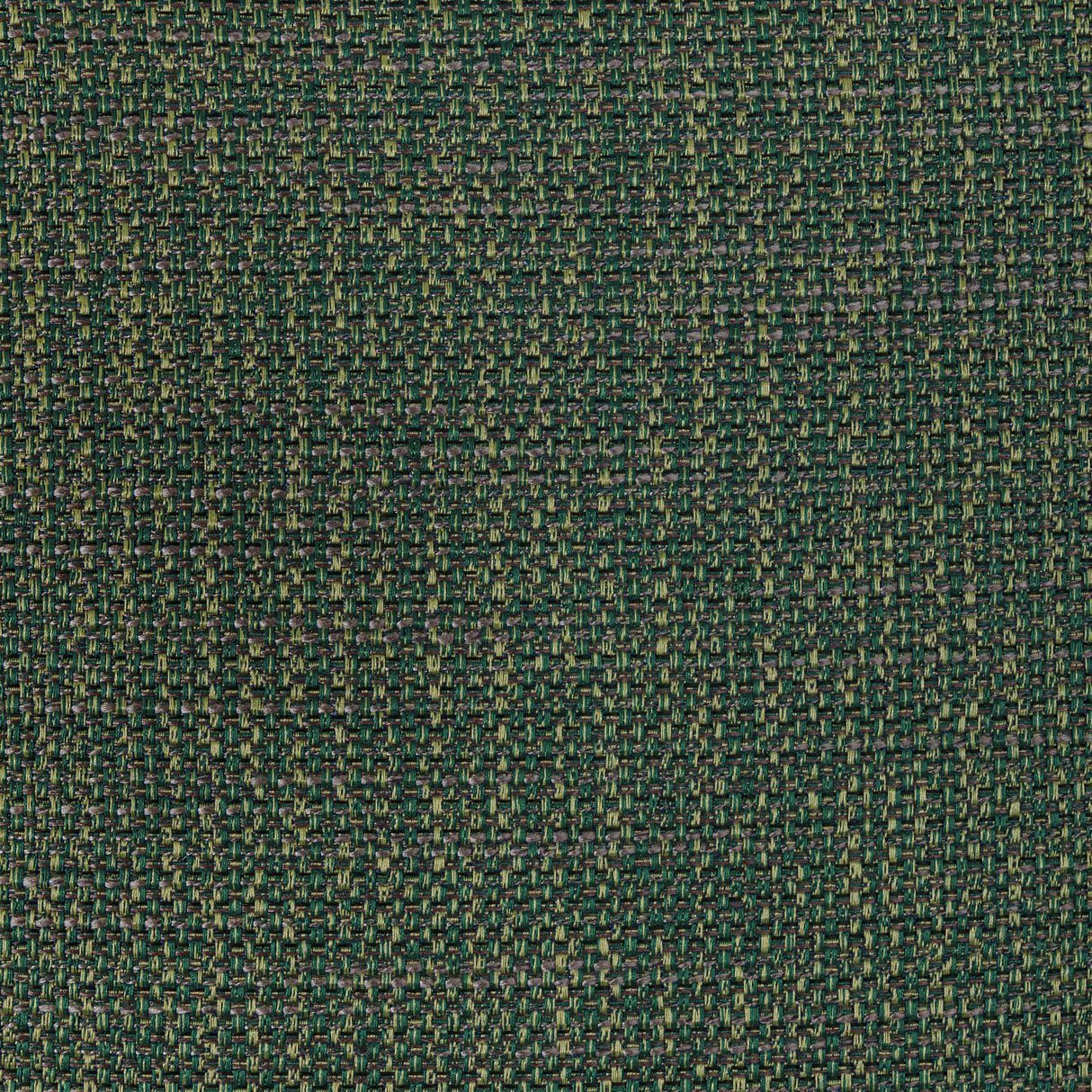 Kravet LUMA TEXTURE FOREST Drapery Fabric