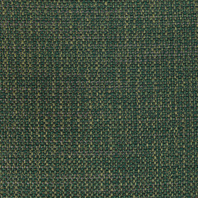 Kravet LUMA TEXTURE FOREST Drapery Fabric