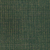 Kravet LUMA TEXTURE FOREST Drapery Fabric