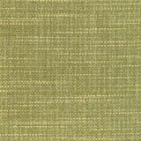 Kravet LUMA TEXTURE CACTUS Drapery Fabric